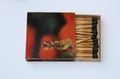 Indian 1970 Old Antique Very rare customised Safety matchbox WIMCO brand with matches on white on Indian traditional music Concept
