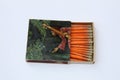 Indian 1970 Old Antique vintage Very rare customised Safety matchbox WIMCO brand with matches on white on Indian traditional music Royalty Free Stock Photo