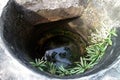 Indian old concrete pit with reflection of palm fronds