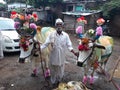 Indian old man decorate bull for fastival