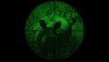 Indian One Horned Rhinoceros Rhinoceros unicornis Seen in Gun Rifle Scope with Night Vision. Wildlife Hunting