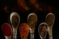 Indian organic spices in white spoons on black background turmeric black pepper coriander salt Royalty Free Stock Photo
