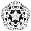 Indian ornament kaleidoscopic floral mandala Royalty Free Stock Photo