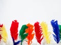 Indian Party Headgear with colorful feathers.