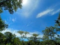 Indian people click blue sky photo