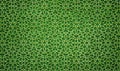 Indian, persian, elf lattice hexagonal green ornament on the floral texture surface