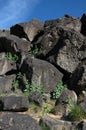 Indian Petroglyph in Rinconada Canyon