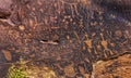 Indian Petroglyphs Newspaper Rock Petrified Forest National Park Arizona