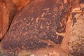 Indian petroglyphs, Newspaper Rock State Historic Monument, Utah, USA