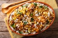 Indian pilaf biryani with chicken, onion, lemon, spices and cilantro close-up. Horizontal top view Royalty Free Stock Photo