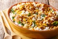 Indian pilaf biryani with chicken, onion, lemon, spices and cilantro close-up. horizontal Royalty Free Stock Photo