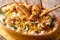 Indian pilaf: chicken dum biryani with lemon peel close-up in a