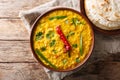 Indian popular food Dal Tadka Curry served with roti flatbread c