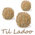 Indian popular sweet Til Ladoo. Vector illustration. Set on white background