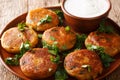 Indian potato patties Aloo Tikki served with yogurt close up in a dish. horizontal Royalty Free Stock Photo