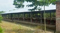 Water tank on a raised platform made of brick pillars and concrete slab in a poultry farm in West Bengal, India, selective focusin Royalty Free Stock Photo