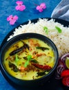 Indian Punjabi glutenfree meal- dahi ki kadhi and rice Royalty Free Stock Photo