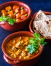 Indian Rajasthani meal-Gatte ki kadhi, roti and aloo matar potato peas curry