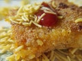 Indian receipe veg cutlet. Cutlet dish with simple decoration. Photo of cuisine.