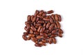 Indian Red Bean (Rajma, Chitra Pinto Bean, Red kidney Beans Royalty Free Stock Photo