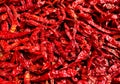 Indian red chilli drying on Terris Royalty Free Stock Photo