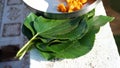 Indian religious family placed food on a leaf for the crow bird to eat. Food placed on a green leaf during a Hindu Ritual in the