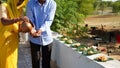 Indian religious family placed food on a leaf for the crow bird to eat. Food placed on a green leaf during a Hindu Ritual in the