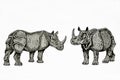 Indian rhinos couple Royalty Free Stock Photo