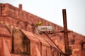 Indian ringneck parrot green feathering on lamppost near Agra Red Fort, green rose ringed parakeet