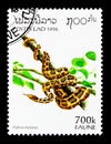 Indian Rock Python (Python molurus), Fauna serie, circa 1996 Royalty Free Stock Photo