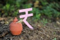 Indian rupees symbol and clay piggy bank