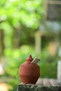 Indian rupees symbol and clay piggy bank