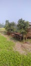 INDIAN RURAL FARMER TEN SHED HOME AND FIELD