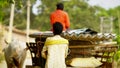 indian rural man inage hd Royalty Free Stock Photo