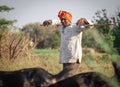 Indian rural men herding flock of sheep