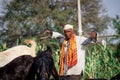 Indian rural men herding flock of sheep Royalty Free Stock Photo