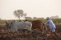 Farmer ploughing in the field