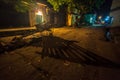 Rural scenic view in night showing bullock cart