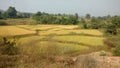 Indian rural village jharkhandn hervesting land Royalty Free Stock Photo