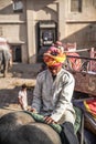 Indian's mahout on elephant at Amber Palace, Rajasthan, India Royalty Free Stock Photo