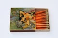 Indian 1970 Old Antique vintage Very rare customised Safety matchbox WIMCO brand with matches on white on Indian traditional music Royalty Free Stock Photo