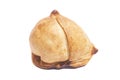 Indian samosa isolated on white background. Royalty Free Stock Photo