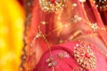 Indian Sari Royalty Free Stock Photo