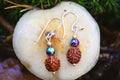 Indian seed and hematite stone beads earrings on autumn mushroom