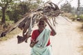 Indian senior woman carying wood on her head Royalty Free Stock Photo