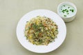 Indian Shahi Vegetable Pulao Royalty Free Stock Photo