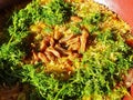 Indian shahi vegetable pulao, looks incredible,garnished by coriander and raisins Royalty Free Stock Photo