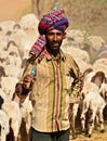 Indian Shephard with his sheep and cattle herd Royalty Free Stock Photo