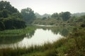 Indian small river with wild grass. Royalty Free Stock Photo