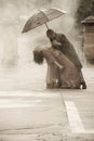 Indian smartly dressed couple dancing under an umbrella in the rain. Royalty Free Stock Photo